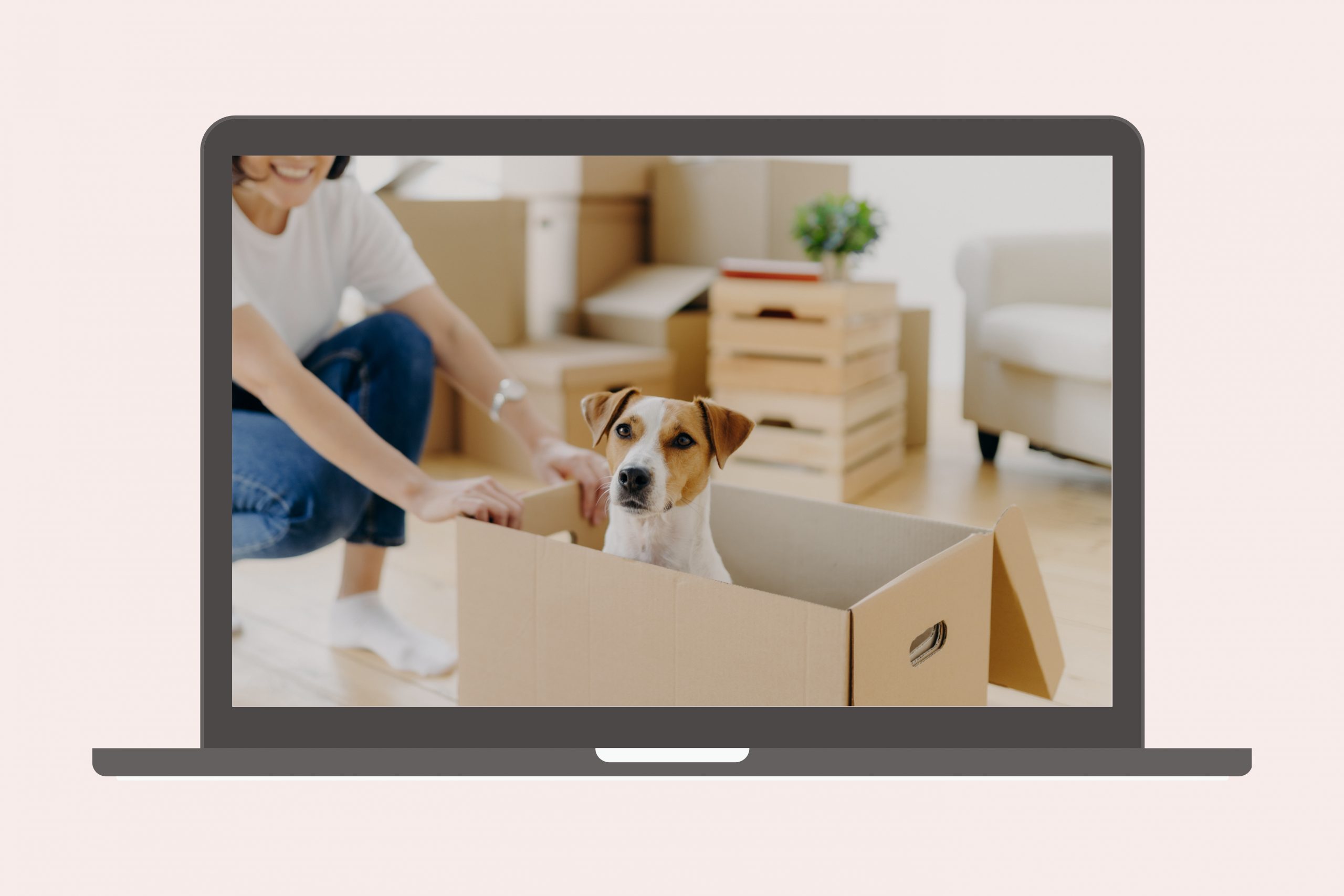 Wie Dein Hund einen Umzug versteht und was Euch dabei helfen kann