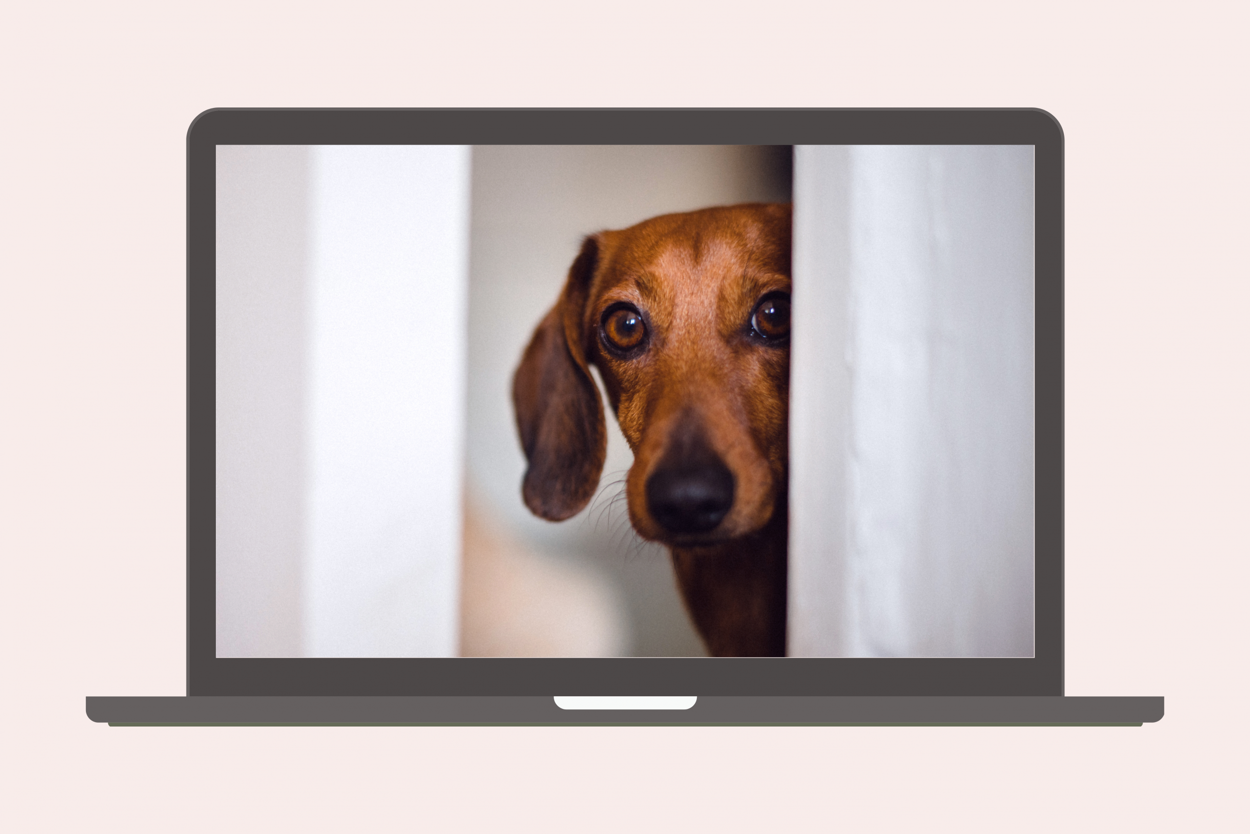 5 Themen, die viele Menschen und Hunde im Alltag belasten